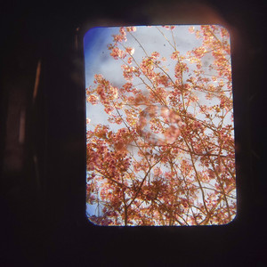 Grace Fight (Original Mix)