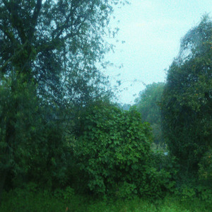 pero no quiero disolverme