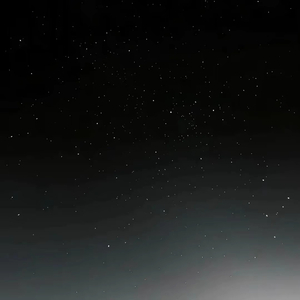 思念似困兽犹斗