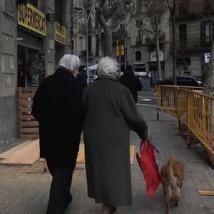 不是因为天气晴朗才爱你（翻自 理想混蛋 Bestards演唱）