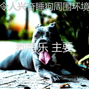 一尘不染小狗印象数