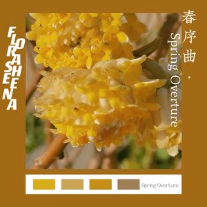 Spring Overture(春序曲)(Chinese.version)