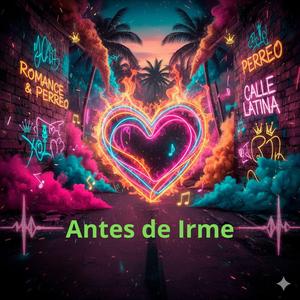 Antes de irme
