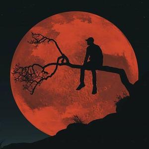 我是夜里的孤独