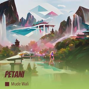 Petani