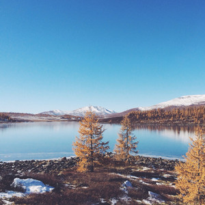 Gift of the Good Life