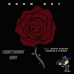 I Don't Know Why (feat. David Santha & Gabriela Flores)