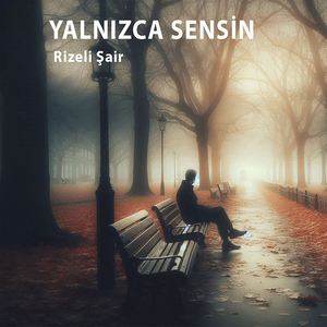 Yalnızca Sensin