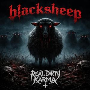 Blacksheep