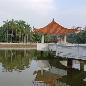 这一路，走得很难