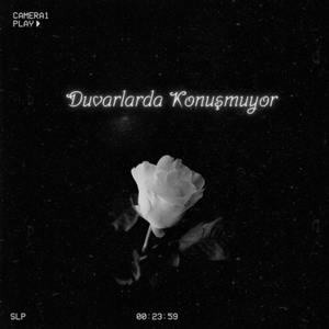 Duvarlarda Konuşmuyor