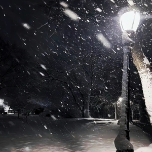 我的歌声里 (伴奏)