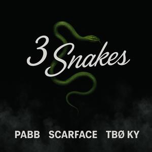 3 Snakes