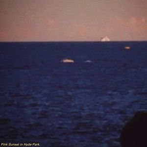Pink Sunset