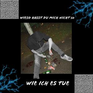 Wieso hasst du mich nicht so wie ich es tue