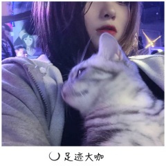 不是对你没感觉 是我没有保时捷