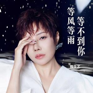 等风等雨等不到你