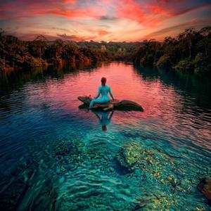 Cocodrilo (Letra: Gabriela Gutiérrez)