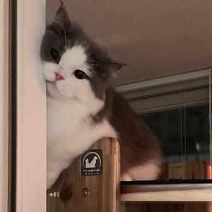 队长-那所以后来呢（立体环绕remix）