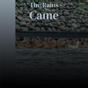 Has Anybody Seen Me Lately