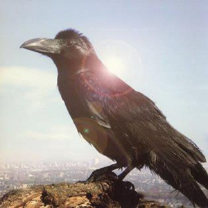 今をかきならせ