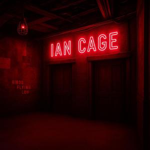 BIRDS FLYING LOW (feat. Heidi West)