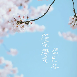 さくら ~あなたに出会えてよかった~（樱花樱花想见你）