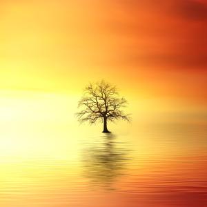 396 Hz Frequency For Deep Sleep