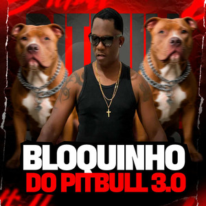 Bloquinho do Pitbull 3.0 - Poc na Bucetinha / Joga Xota / Só da pra Pitbull / Pau Pica na Buceta da Safada / Joga Essa Rabeta
