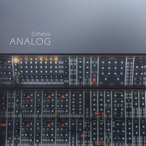 Analog 6