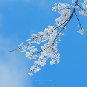 사라지는 모든 것들