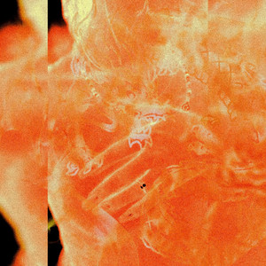 Марго Робби