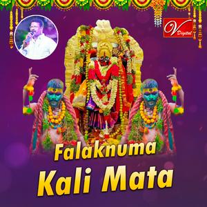 Falaknuma Kali Mata Dj