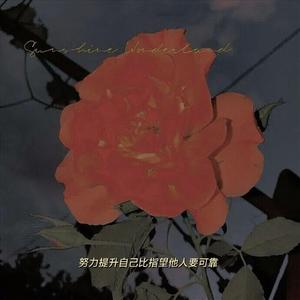 新鸳鸯蝴蝶梦(女版)