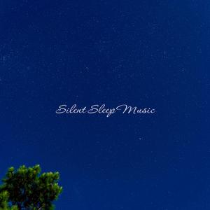 깊은 잠을 위한 앰비언트