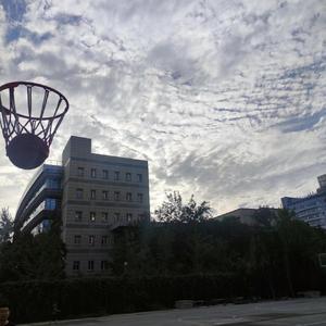 凤凰花开的路口