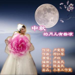 中秋的月儿有点凉