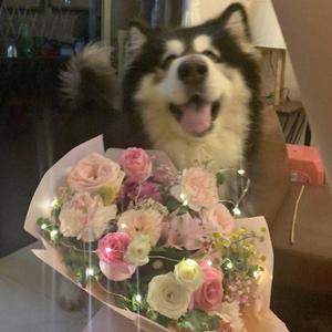 明明很爱你(prodby phantomdanny)