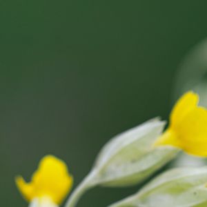 这样才是我（3）