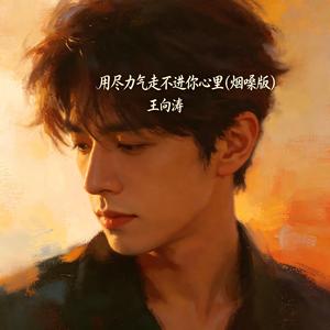 用尽力气走不进你心里(烟嗓版)