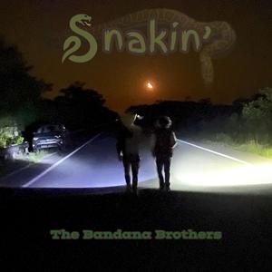 Snakin