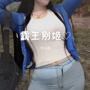 刘肖-霸王别姬-电音