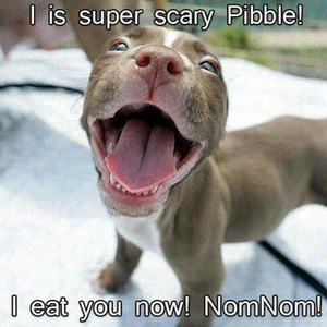 男孩和女孩 (加速版)