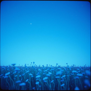 Пелюстки листочки