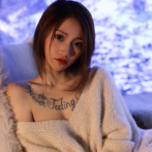 다시너를