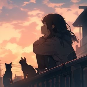 不喜欢小猫早说