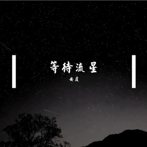 等待流星
