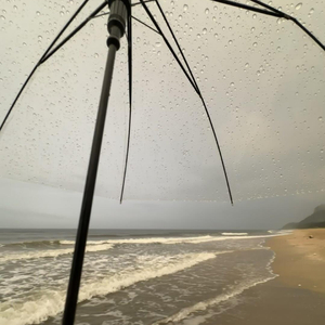 说多怕烦说少怕你不懂