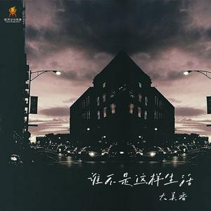 谁不是这样生活(DJ弦禾版)