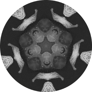 Shangai (Giacomo De Falco Remix)